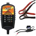 Battery Doctor Automatic Battery Charger and Maintainer, Charging, Maintaining
