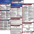 Labor Law Poster Kit, TX Federal and State Labor Law, English, None