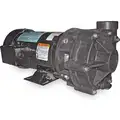 Noryl 2 HP Centrifugal Pump, 3 Phase, 208-230/460 Voltage