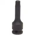 Impact Socket Bit : Torx, 3/8 in Drive Size, T45 Tip Size, 2 in Overall Lg