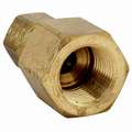 Female Connector: Brass, For 5/8 in Tube OD, 3/8 in Pipe Size, Compression x FNPT, NTA