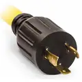 Champion Power Equipment Generator Ext Cord 25 ft. 30A,125V, 25 ft. Cord Length, (3) NEMA 5-15R Fan-Style Connector End, L5-30