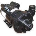 120/240 VAC Totally Enclosed Fan-Cooled Centrifugal Pump, 1-Phase, 1-1/2" NPT Inlet Size