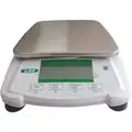 Compact Bench Scale: 2,000 g Capacity, 0.1 g Scale Graduations, 5 3/8 in Weighing Surface Dp