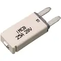 Plastic, Type 3 Mini Circuit Breaker; 25 Amp, White