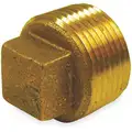Cored Plug: Red Brass, 2 1/2" Pipe Size, Male NPT, Class 125