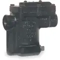 Bell & Gossett Steam Trap, 1/2" (F)NPT Connections, 6 15/16" End to End Length