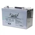 12 VDC, Sealed Lead Acid Battery, 100 Ah, Tab with Bolt Hole, 8.23" Height, 68.0 lb. Weight