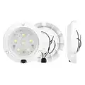 Truck-Lite 44438C Super 44 Series, LED, 5-/2 in. Round Dome Light