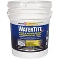 Smooth Acrylic Copolymer Mold and Mildew Paint, White, 5 gal.