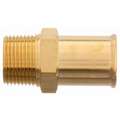 Beaded Hose Fitting: For 3/4 in Hose I.D., 3/4 in x 1/2 in Fitting Size, Hose Barb x NPT, Rigid
