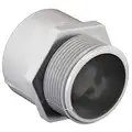 Cantex Male Adapter, Conduit Fitting Type Adapter, Conduit Trade Size 1-1/4"