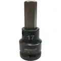 Westward Impact Socket Bit, Metric, Drive Size 3/4", Overall Length 3-1/2", Tip Size 17 mm, Hex