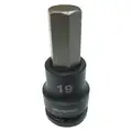 Westward Impact Socket Bit, Metric, Drive Size 3/4", Overall Length 3-1/2", Tip Size 19 mm, Hex
