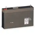 Acuity Lithonia Battery: ELU2X/ELR2/ELT16/6ELM2/HQM S W 3 R 120/277/HQM S W 3 G 120/277/IND618/IND1236, 6 V Volt