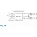 Electronic CFL Ballast, 70 Max. Lamp Watts, 120-277 V, Rapid Ballast Start Type