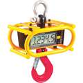 Ron Crane Scales 2000 lb. Capacity Crane Scale, +/- 0.1% Scale Accuracy, 0.5kg/1.0 lb. Scale Graduations