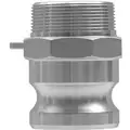 Cam and Groove Adapter: 1 1/2 in Coupling Size, 1 1/2 in Hose Fitting Size, 3 in Overall Lg, MNPT