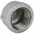 Galvanized Malleable Iron Cap, 2-1/2" Pipe Size, FNPT Connection Type