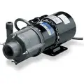 1/10 HP PPS 115V Magnetic Drive Pump, 24.3 ft. Max. Head