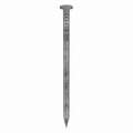 Steel Common Nail with Flat Head Type, Galvanized Finish, 16d Size, 3-1/2" Length, PK44