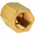 Hex Head Cap: Bright Brass, 1/8 in Fitting Pipe Size, Female NPT, 3/4 in Overall Lg