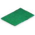 6" x 9" Nylon Scouring Pad, Green, 20PK
