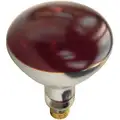 Shat-R-Shield 250 Watts Incandescent Heat Lamp, R40, Medium Screw (E26), 1 EA