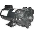 120/240 VAC Open Dripproof Centrifugal Pump, 1-Phase, 1-1/4" NPT Inlet Size