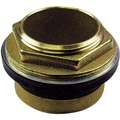 Brass and Rubber Inlet Spud, Brass, For Use With Toilets, For Use With Item Number 5NT V8, 9181814