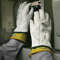 Activarmr Ansell ActivArmr Marigold Series, Electrical Glove Protectors for Class 0, Class 00, Size 10, Gray