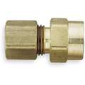 Female Connector, 1/4" Tube Size, 1/4" Pipe Size - Pipe Fitting, Metal, PK 10