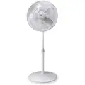 18" Pedestal Fan, Oscillating, 120 VAC, Number of Speeds 3