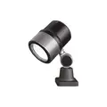 Waldmann Pivoting Head Task Light, LED, 600 lm Lumens, Lamp Included Yes, Aluminum, Black