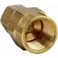 Female Connector, 1/4" Tube Size, 1/4" Pipe Size - Pipe Fitting, Metal, PK 10
