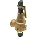 Safety Relief Valve: Bronze, MNPT, FNPT, 3/4 in Inlet Size, 1 in Outlet Size, Air/Gas