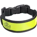 Reflective Arm Band, Buckle Closure, Lime Green