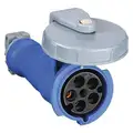 Hubbell Wiring Device-Kellems 60 Amp, 3Y-Phase Zytel 801 Nylon Watertight Pin and Sleeve Connector, Blue
