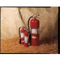 20 lb., BC Class Fire Extinguisher; 21 ft. Range Max., 28 sec. Discharge Time