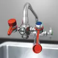 Watersaver Faucet Company Eyewash: No Bowl Bowl, Pull Handle Eye Wash Activates By, Faucet Mount