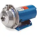 120/240 VAC Totally Enclosed Fan-Cooled Straight Center Discharge Pump, 1-Phase, 1-1/4" NPT Inlet Siz