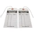 Badger Tag & Label Corp Inspection Record Tag: Paper, 5 3/4 in Ht, 2 7/8 in Wd, 3/16 in Hole Size, Inspection Record, 25 PK