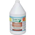 Beyond Green Cleaning Tile and Grout Cleaner, 1 gal. Bottle, Unscented Liquid, Ready to Use, 4 PK