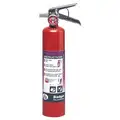 Badger Fire Extinguisher, Dry Chemical, Purple K, 2.5 lb, 10B:C UL Rating