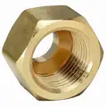 Short Forged Nut, Flare Connection Type, 1/2" Tube Size, 10PK