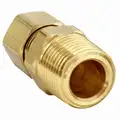 Male Connector, 1/4" Tube Size, 1/4" Pipe Size - Pipe Fitting, Metal, PK 10