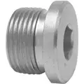 316 Stainless Steel Hollow Hex Plug, Metric, M22 x 1-1/2" Pipe Size - Pipe Fitting