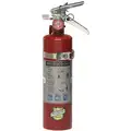 Buckeye 2-1/2 lb., ABC Class, Dry Chemical Fire Extinguisher; 15 ft. Range Max., 8 to 10 sec. Discharge Time