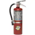 Buckeye 5 lb., ABC Class, Dry Chemical Fire Extinguisher; 18 ft. Range Max., 13 to 15 sec. Discharge Time
