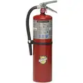 Buckeye 10 lb., ABC Class, Dry Chemical Fire Extinguisher; 21 ft. Range Max., 20 to 24 sec. Discharge Time